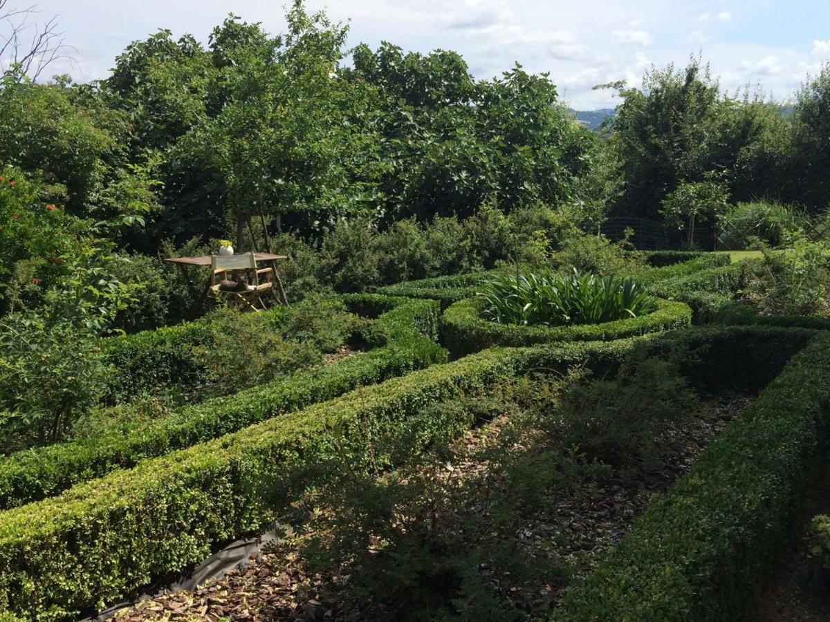 Il Giardino B&B Castelvetro di Modena Exterior foto